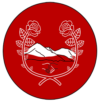 DSA Logo